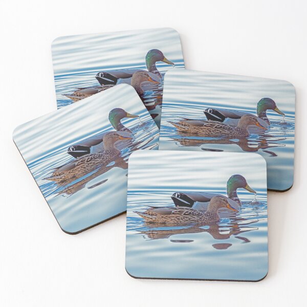 Item preview, Mallard pair swimming in late day light designed and sold by lisavonbiela.