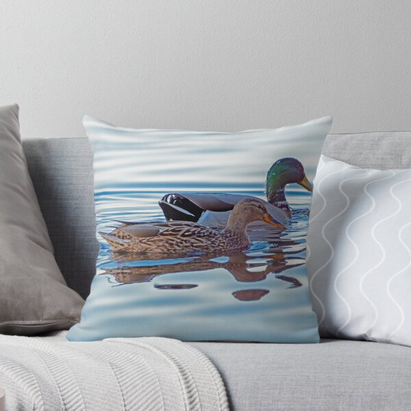 Item preview, Mallard pair swimming in late day light designed and sold by lisavonbiela.