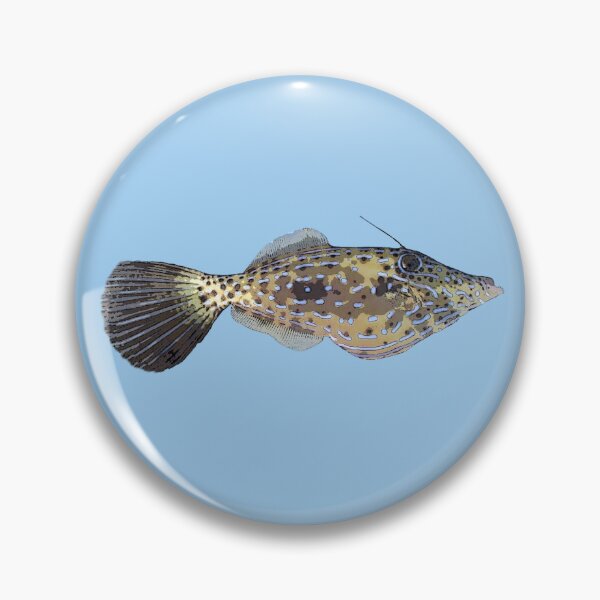Item preview, Scrawled Filefish Color Design designed and sold by designsasstultd.