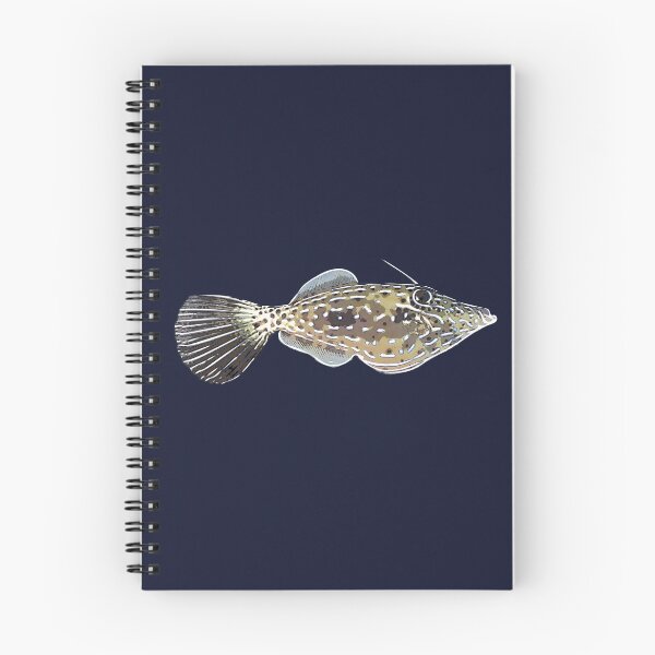 Item preview, Scrawled Filefish White Alternate Design  designed and sold by designsasstultd.