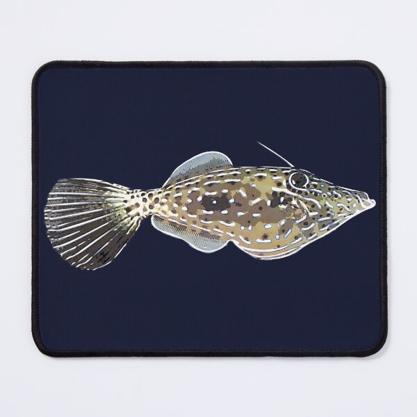 Item preview, Scrawled Filefish White Alternate Design  designed and sold by designsasstultd.