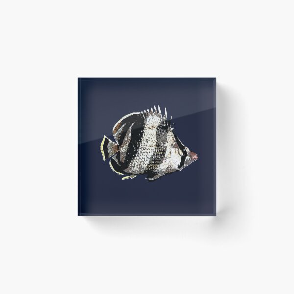 Item preview, Banded Butterflyfish White Alternate Design  designed and sold by designsasstultd.