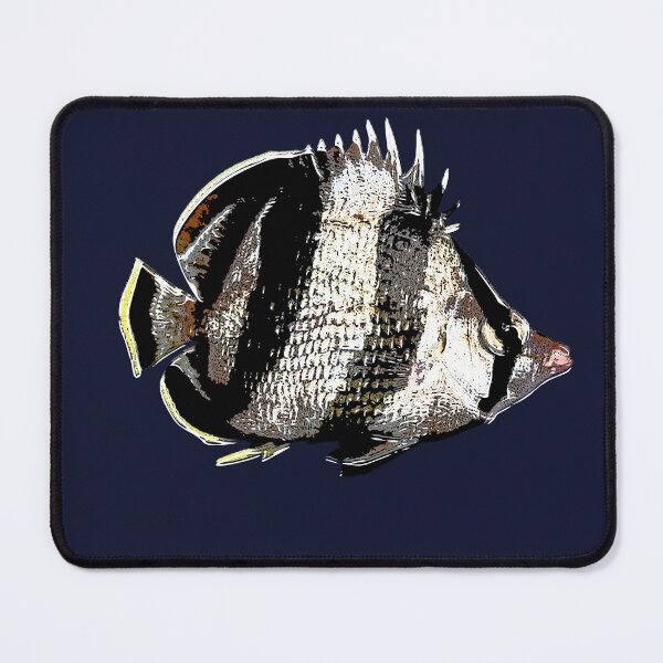 Item preview, Banded Butterflyfish White Alternate Design  designed and sold by designsasstultd.