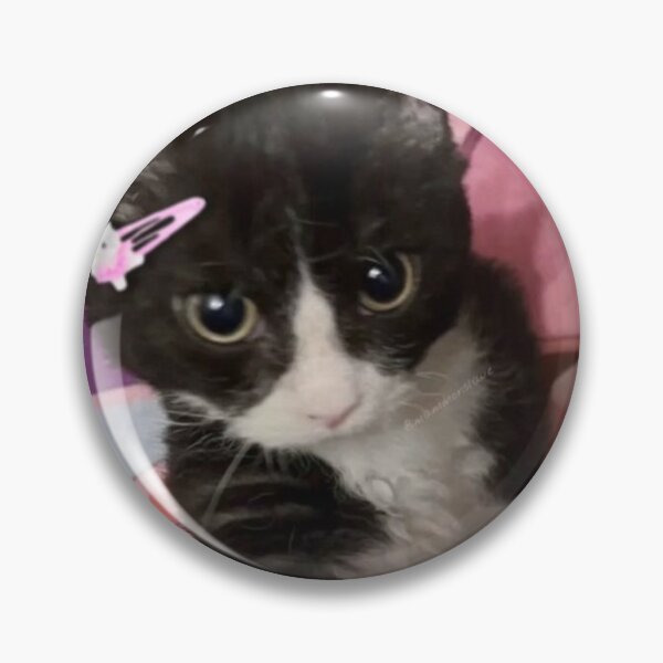 Item preview, Cutest little cool cat ?✨? designed and sold by eddict.