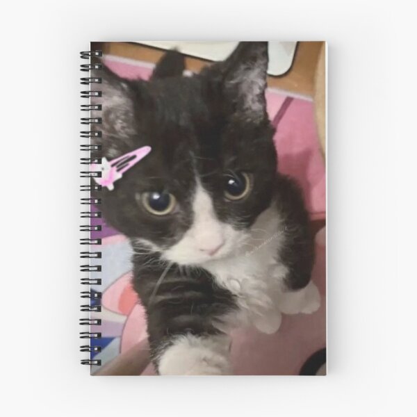 Item preview, Cutest little cool cat ?✨? designed and sold by eddict.