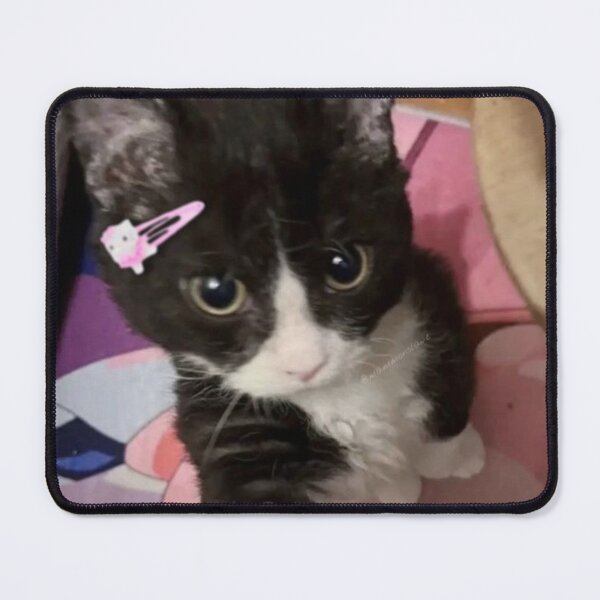Item preview, Cutest little cool cat ?✨? designed and sold by eddict.