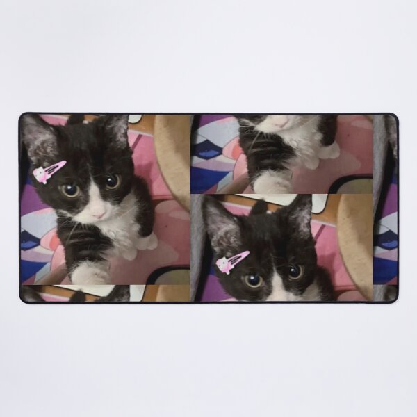 Item preview, Cutest little cool cat ?✨? designed and sold by eddict.