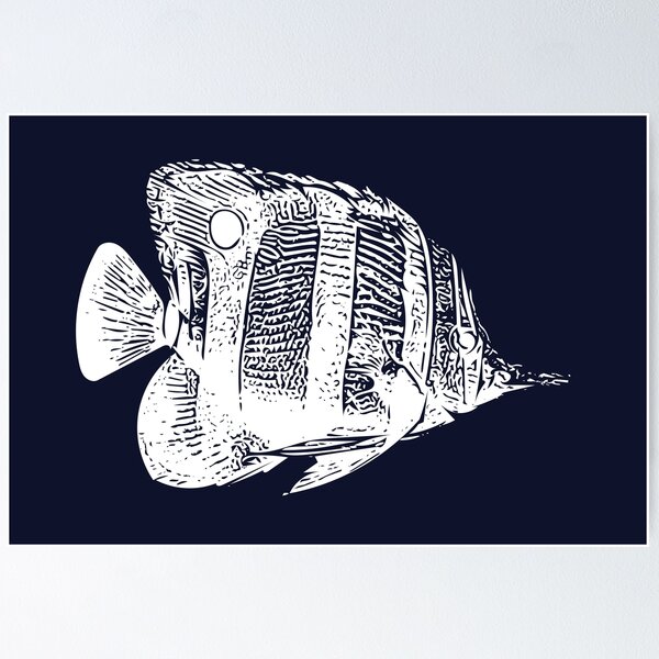Item preview, Copperband Butterflyfish White Design  designed and sold by designsasstultd.
