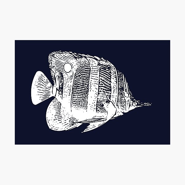 Item preview, Copperband Butterflyfish White Design  designed and sold by designsasstultd.