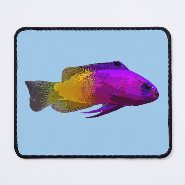 Item preview, Royal Gramma Color Design  designed and sold by designsasstultd.