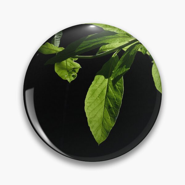Item preview, Green Dramatic Leaves and Light designed and sold by couragesings.