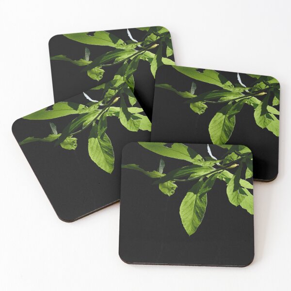 Item preview, Green Dramatic Leaves and Light designed and sold by couragesings.
