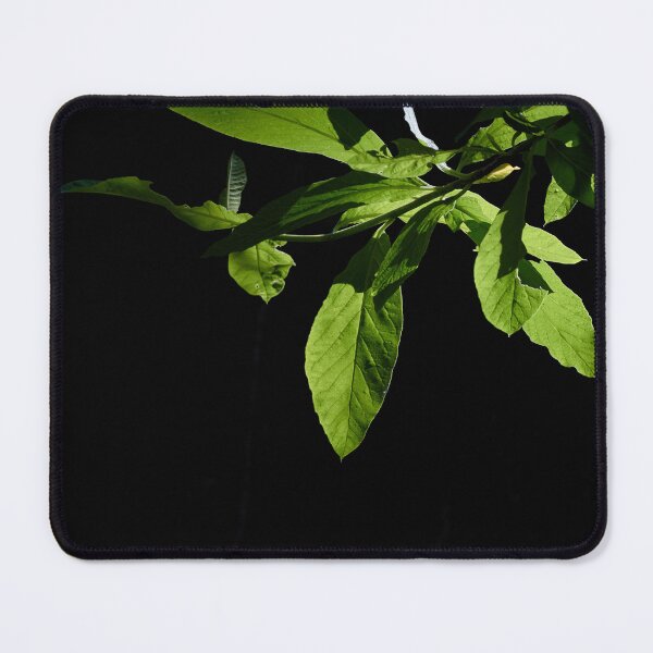 Item preview, Green Dramatic Leaves and Light designed and sold by couragesings.