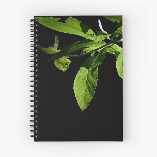 Item preview, Green Dramatic Leaves and Light designed and sold by couragesings.