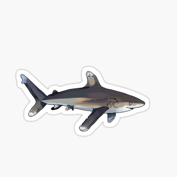 Item preview, oceanic whitetip shark designed and sold by Kraken Me Up!.