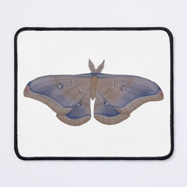 Item preview, Blue Polyphemus Moth designed and sold by nm-sketchbook.