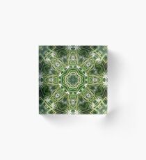 Spider Plant Kaleidoscope Art 5 Acrylic Block