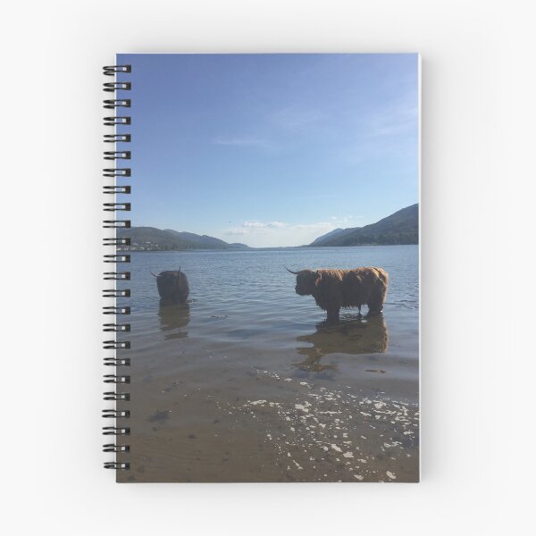 Item preview, Highland coos designed and sold by Leeanne Mackay.