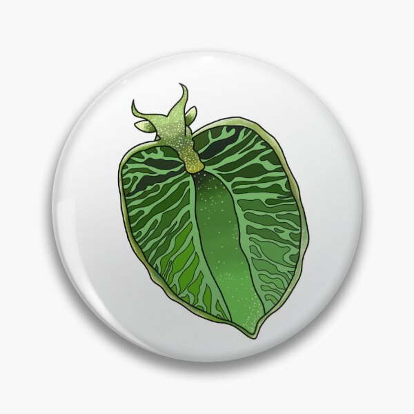 Item preview, leaf slug designed and sold by Kraken Me Up!.