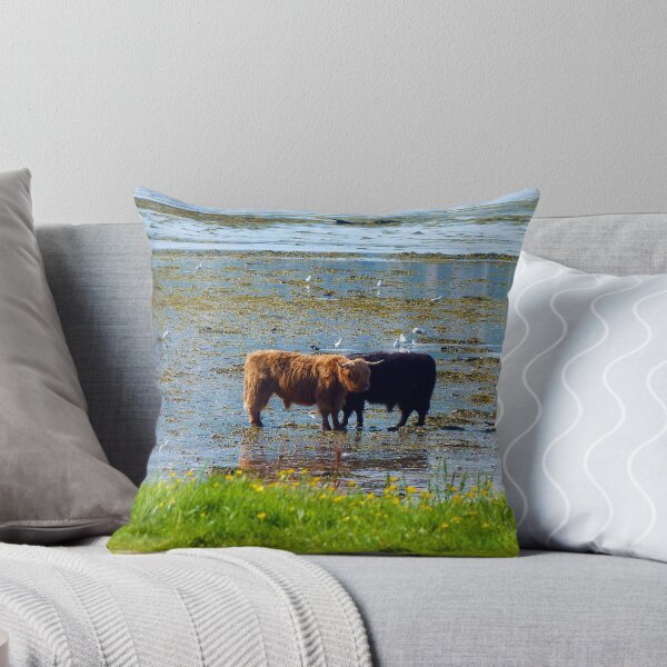 Item preview, Highland Coos designed and sold by Leeanne Mackay.