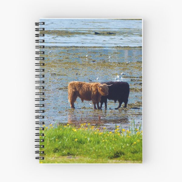 Item preview, Highland Coos designed and sold by Leeanne Mackay.