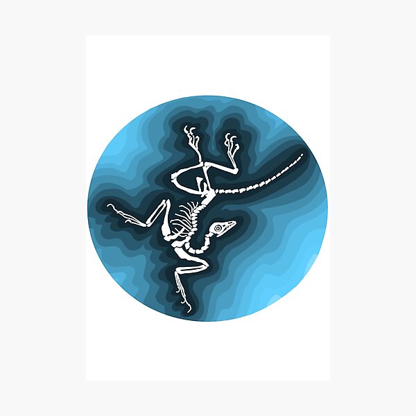 Artikel-Vorschau von Archaeopteryx-Fossil, designt und verkauft von EJHArts.