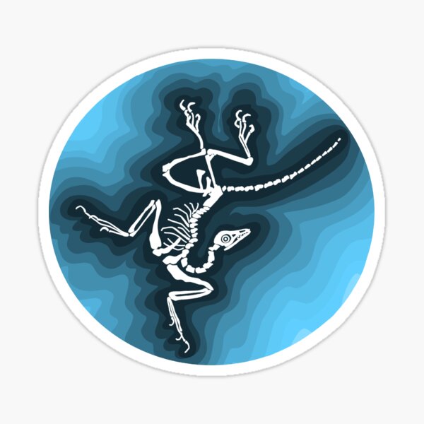 Artikel-Vorschau von Archaeopteryx-Fossil, designt und verkauft von EJHArts.