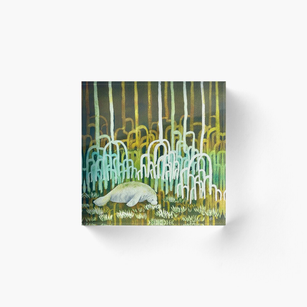 Item preview, Acrylic Block designed and sold by Ruthely.