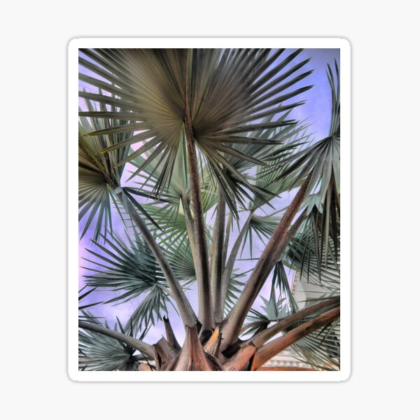 Item preview, Tropical Coolness designed and sold by Larry Davis.
