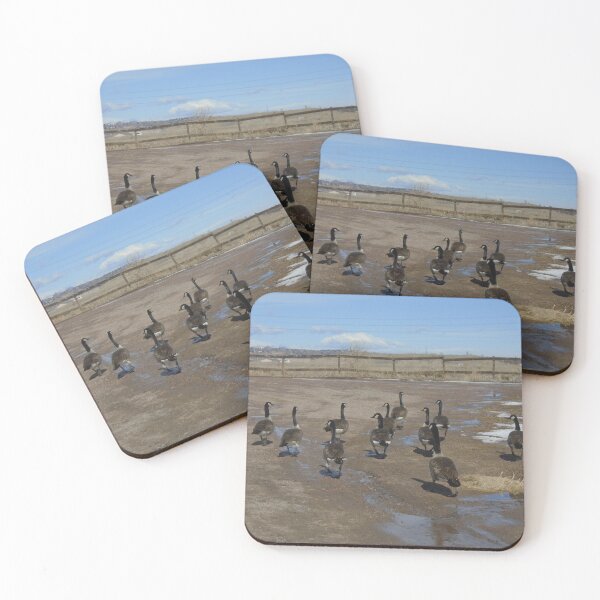 Item preview, Strutting Along designed and sold by ReccaRedscale.