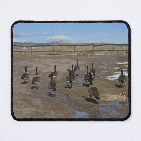 Item preview, Strutting Along designed and sold by ReccaRedscale.