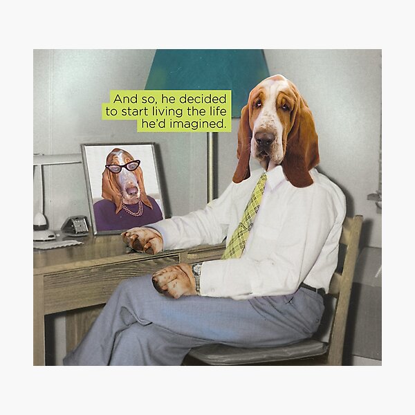 Mid Century Basset Hound Photographic Print