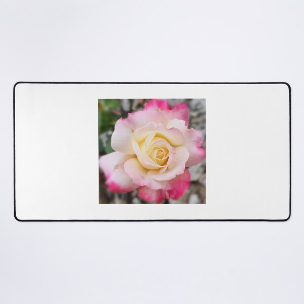 Item preview, Hybrid Tea Rose  designed and sold by JessicaKeegan.