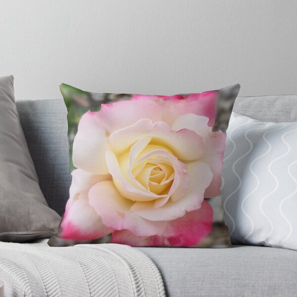 Item preview, Hybrid Tea Rose  designed and sold by JessicaKeegan.