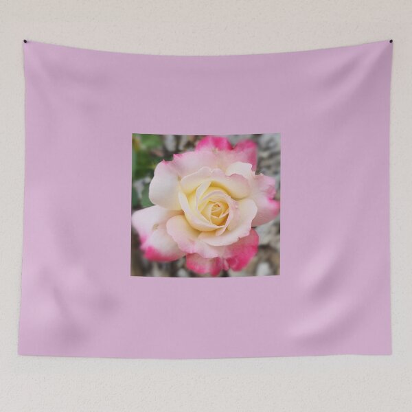 Item preview, Hybrid Tea Rose  designed and sold by JessicaKeegan.