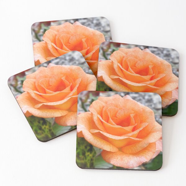 Item preview, Floribunda Rose designed and sold by JessicaKeegan.