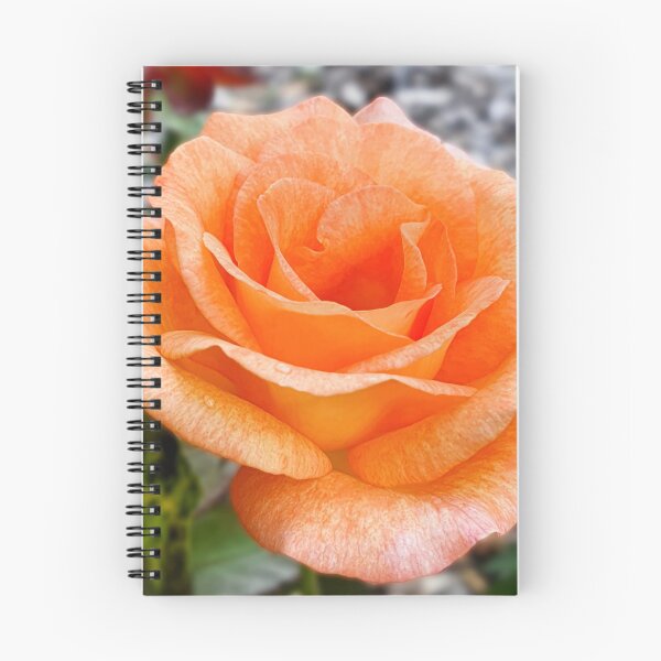 Item preview, Floribunda Rose designed and sold by JessicaKeegan.
