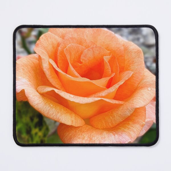 Item preview, Floribunda Rose designed and sold by JessicaKeegan.