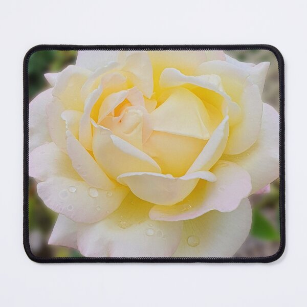 Item preview, Peace Rose designed and sold by JessicaKeegan.