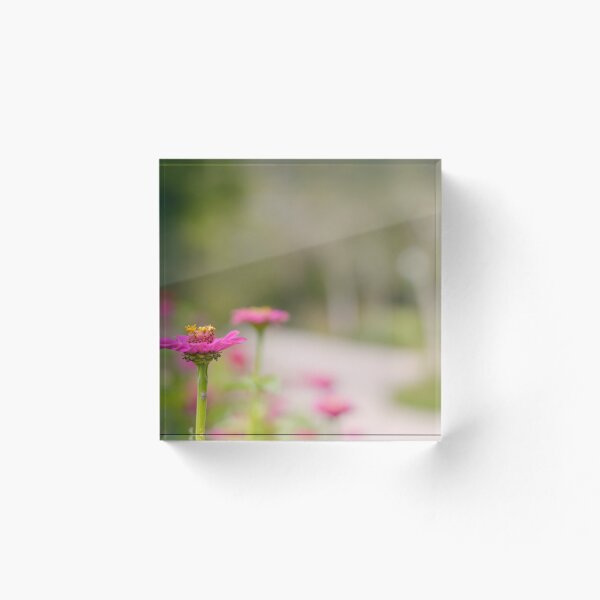 Item preview, The Zinnia Path designed and sold by JessicaKeegan.
