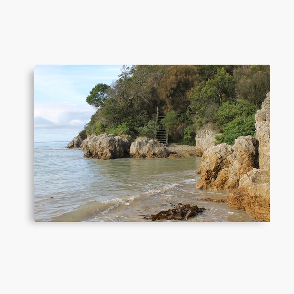 Walkerville Cove Canvas Print