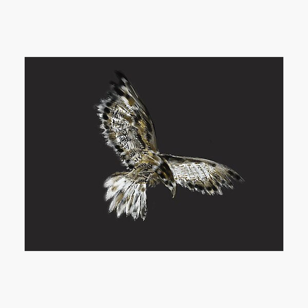 Item preview, hawk designed and sold by EricChung.