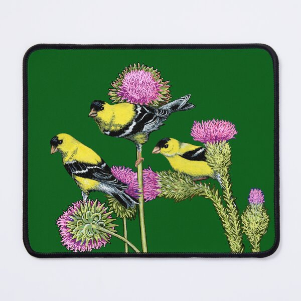 Item preview, Three male goldfinches designed and sold by Thomas-Duane.