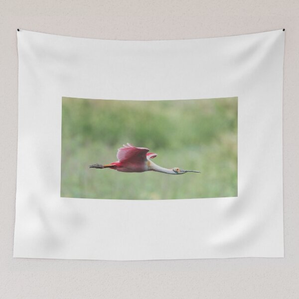 Item preview, Roseate spoonbill in Flight designed and sold by Puttaswamy Ravishankar.