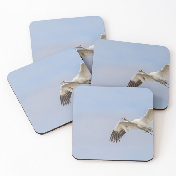 Item preview, Whooping Crane designed and sold by Puttaswamy Ravishankar.