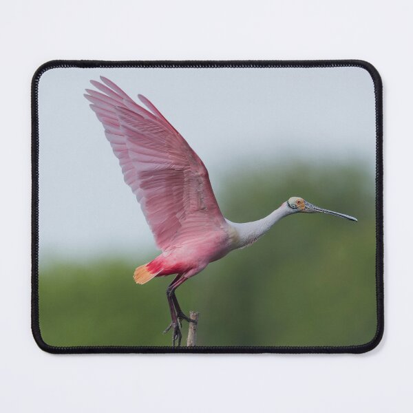 Item preview, It is all about PINK designed and sold by Puttaswamy Ravishankar.