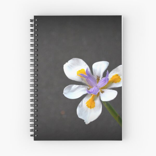 Item preview, Non Duality Iris designed and sold by RebeccaNZ.