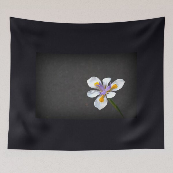 Item preview, Non Duality Iris designed and sold by RebeccaNZ.