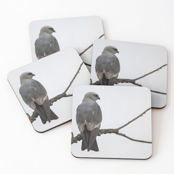 Item preview, Mississippi kite on a branch designed and sold by Puttaswamy Ravishankar.