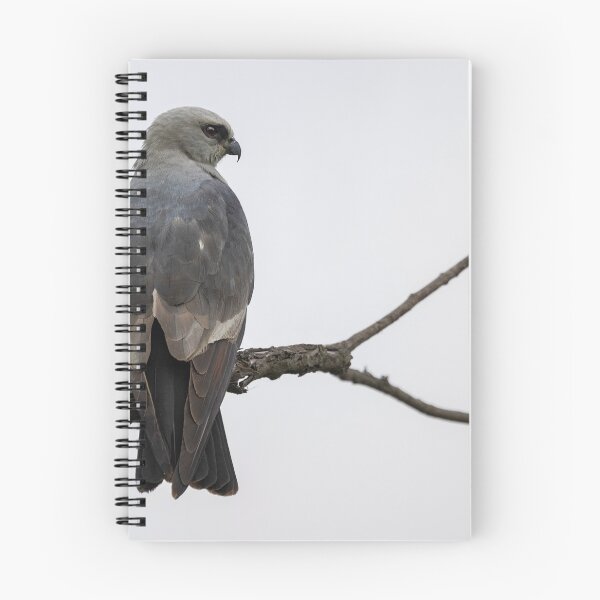 Item preview, Mississippi kite on a branch designed and sold by Puttaswamy Ravishankar.